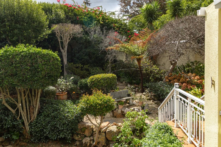 To Let 3 Bedroom Property for Rent in Newlands Western Cape